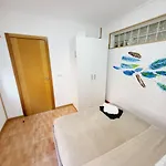 Pintor 31 *