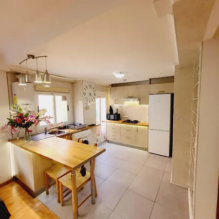 Pintor 31 Apartamento